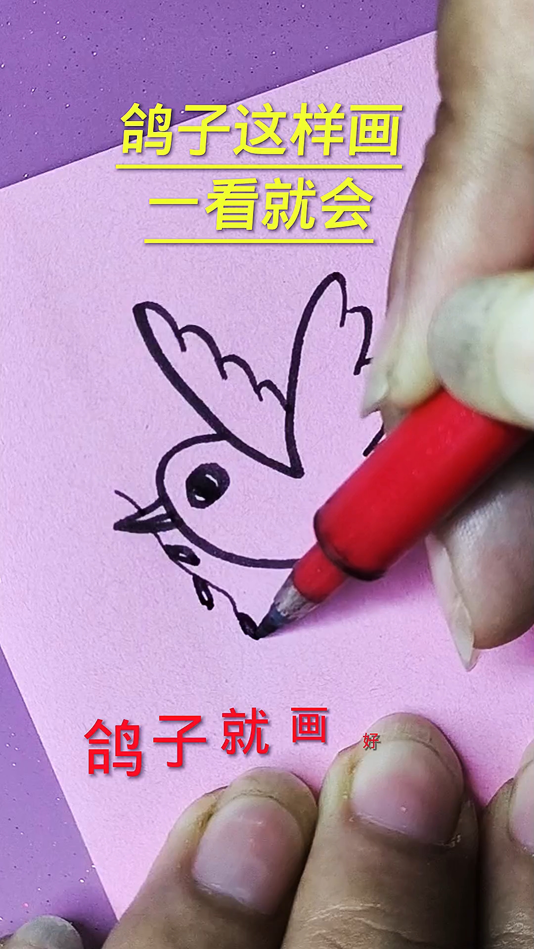 鸽子简笔画