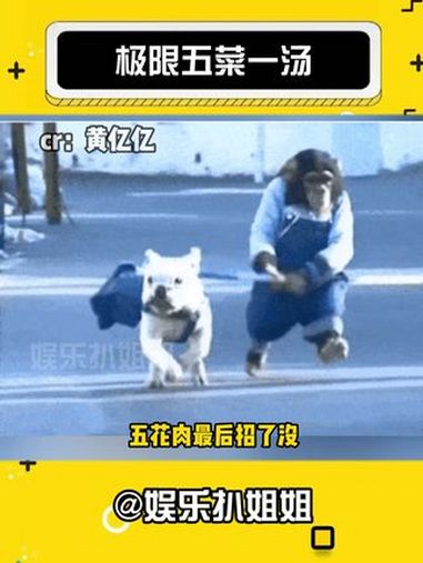 大妹砸你才是真正的资本家呀!(cr:)五花肉 五菜一汤 娱乐评论大赏