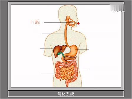 [图]大班健康活动《食物旅行记》·陈玉芳 陈玲