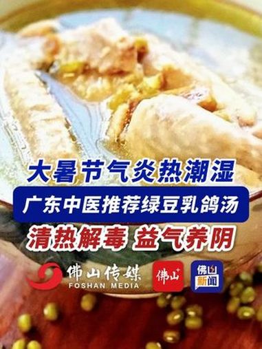 大暑节气炎热潮湿,广东中医推荐绿豆乳鸽汤!清热解毒,益气养阴!(编辑:王慧君;责编:梁莹;