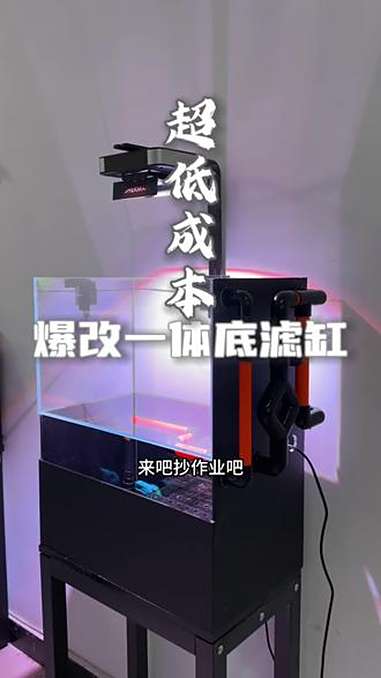 你别不信!一百多搓出来的一体底滤缸!太帅了!自制鱼缸 一体底滤缸 真香 养鱼青年的故事