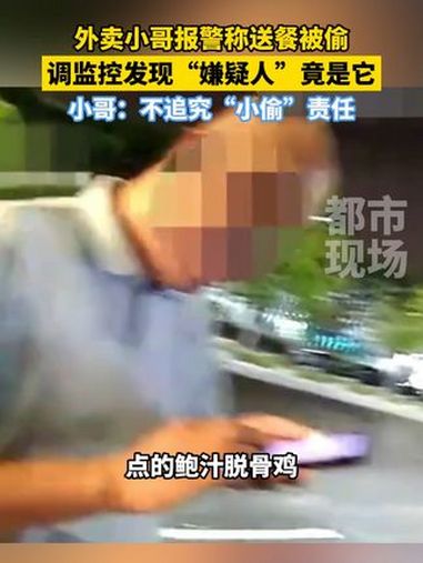 外卖小哥报警称送餐被偷,调监控发现“嫌疑人”竟是它,小哥:不追究“小偷”责任 外卖 小偷 