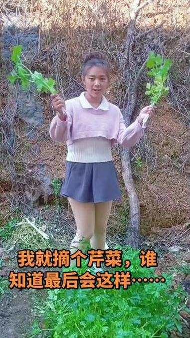 你们老到什么程度了，我已经老到每天去菜地摘菜#真实生活分享计划 #云南 #云南农村生活 #