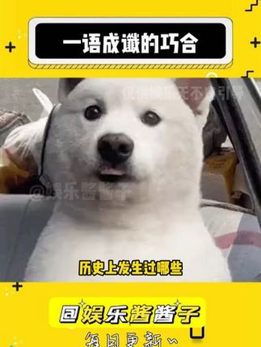 黑玉子:说四年就四年嗷 娱乐评论大赏 黑玉子温泉蛋 一语成谶 巧合