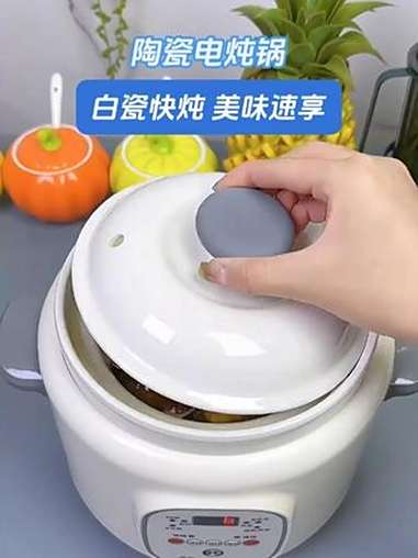 电炖锅 电炖锅煲汤 爱煲汤