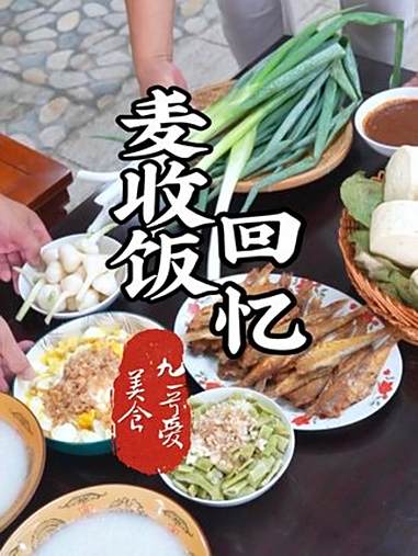 宝坻美食麦收饭 宝坻美食 四十年前麦收饭,蒸大馒头,拌豆角,煎咸鱼 农村的味道
