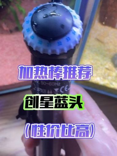 超有性价比的加热棒,那必须就是创星蓝头版了,没有花里胡哨的设计,简单更安全!加热棒 加热棒