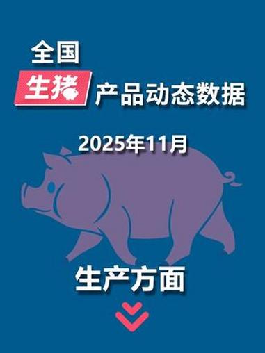 五部门联合发布：11月份生猪定点屠宰企业屠宰量上涨 #猪价行情#生猪价格#猪肉#养殖