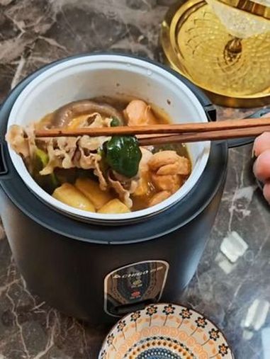 志高迷你电饭煲 小巧便携 用着真顺手 小型电饭煲推荐 多功能电煮锅推荐 迷你小电锅推荐