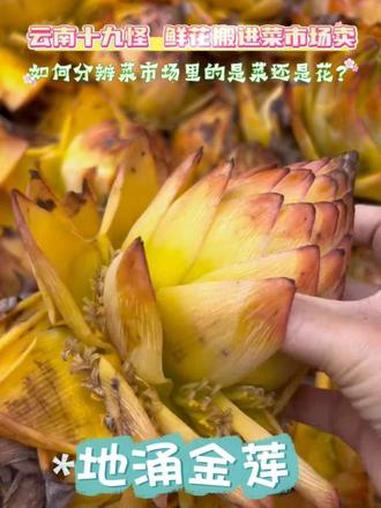如何分辨云南菜市场里的是菜还是花?#云南菜市场 #花 #可以吃的花 #云南特产