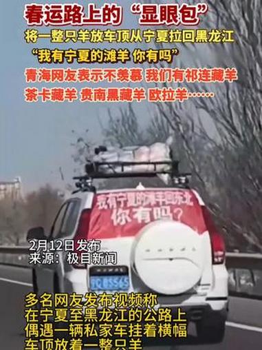 #春运 路上的#显眼包将一整只羊放车顶从宁夏拉回黑龙江“我有宁夏的滩羊 你有吗” 青海网友
