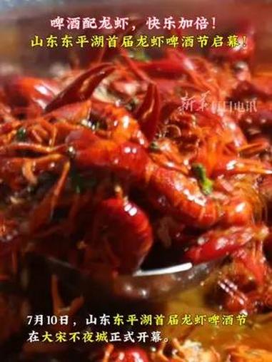 啤酒配龙虾,快乐加倍!山东东平湖首届龙虾啤酒节启幕!