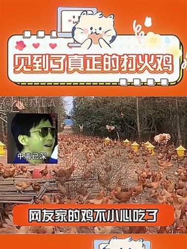 鸡竟然变成了打火机 搞笑 万万没想到 动物 骚操作 娱乐评论大赏