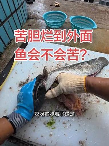 苦胆破再外面了,鱼会不会苦?#杀鱼技术 #刀工 #菜市场