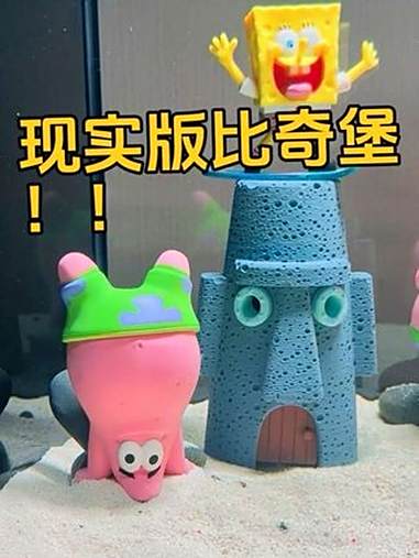 原来现实里的他们这么反差?!海绵宝宝 派大星 现实版比奇堡 抹香鲸珍珍 养水母