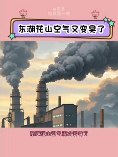 武汉东湖高新花山化工厂空气污染 武汉 东湖高新 花山 空气污染 化工厂