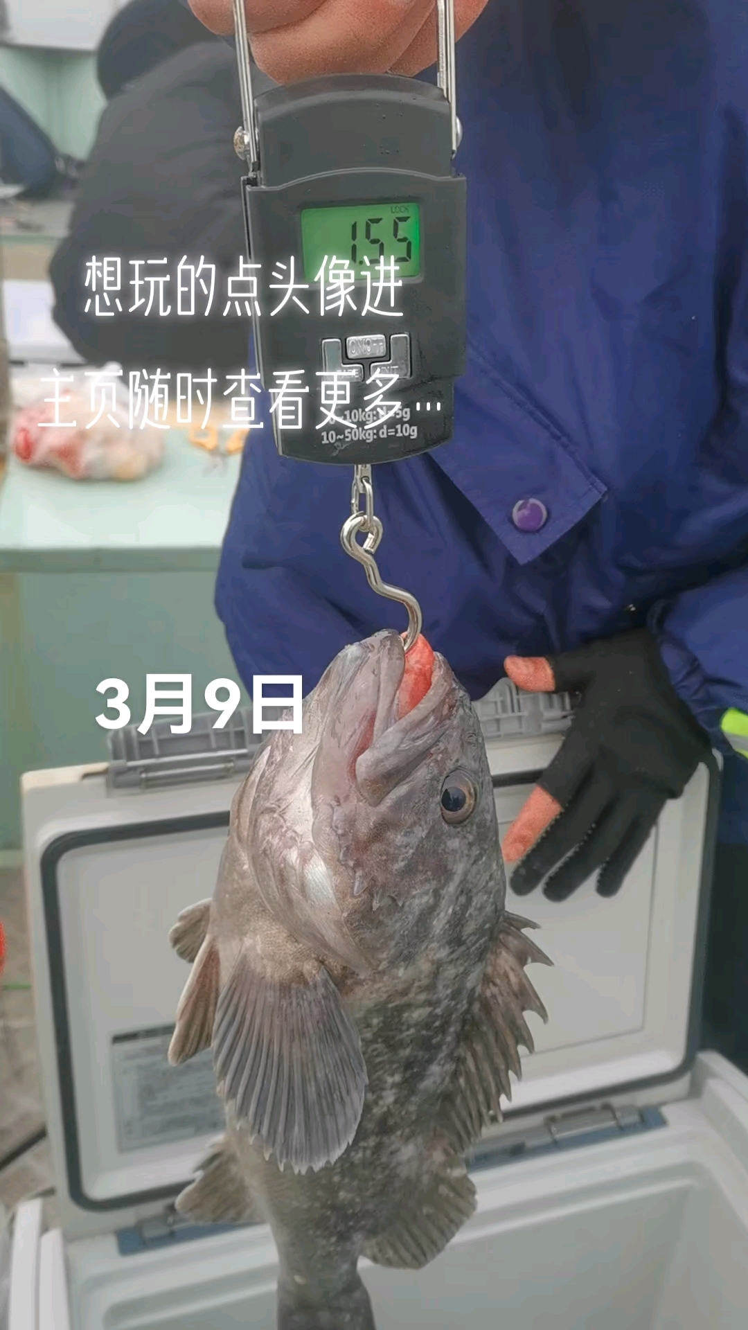 大连 龙王塘 海钓 船钓 钓鱼人