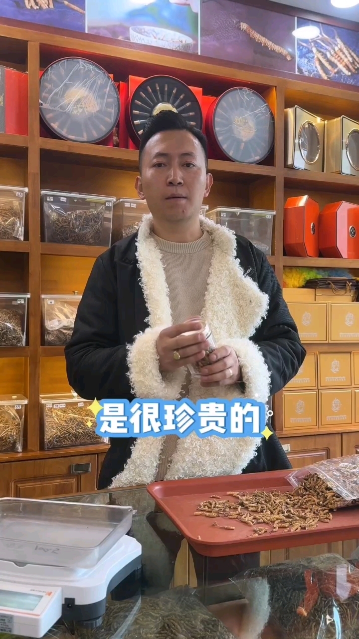 虫草的生长环境苛刻,挖草也很艰辛,所以价格高啊