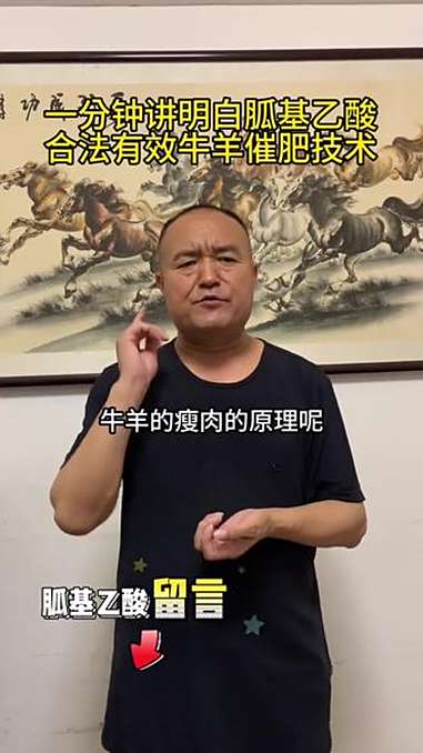 牛为啥会起油包?育肥牛怎么催肥去油?肉牛养殖 养牛技术 教授说牛羊 肉牛饲料配方 农村创业