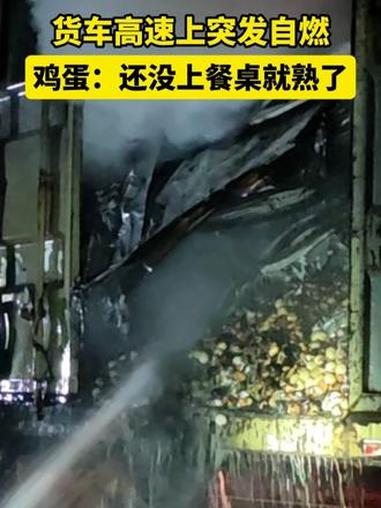 货车高速上突发自燃 鸡蛋:还没上餐桌就熟了 消防救援 货车自燃 行车安全