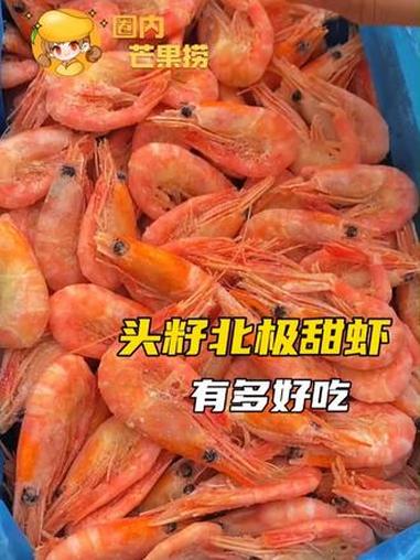 头籽北极甜虾有多好吃 #北极甜虾 #美食 #海鲜