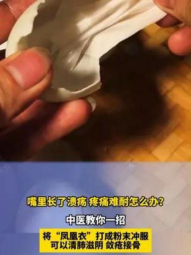 嘴里长了溃疡 疼痛难耐怎么办?中医教你一招,将“凤凰衣”打成粉末冲服可以清肺滋阴 敛疮接骨