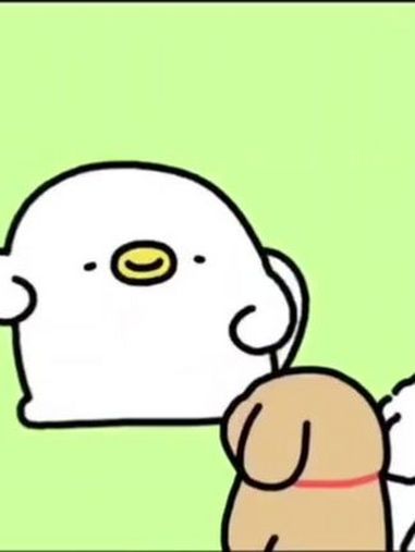 线条家族虎视眈眈,鸡毛怎么越跳越嗨 线条小狗 小鸡毛 笨蛋小狗 马尔济斯