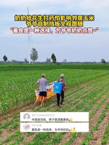 奶奶给花生打药怕影响邻居玉米,爷爷自制挡板全程跟随,“善良是一种选择,为爷爷奶奶点赞”(来
