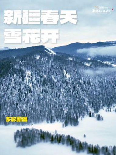 春天花会开……雪花何尝不算一种浪漫～又到了踏青赏花的季节 新疆是个好地方 出发吧新疆
