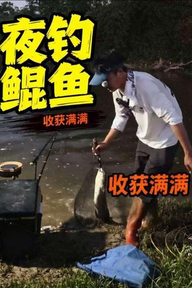 天气闷热白天不好作钓，但是夜钓口还是挺好的！#钓鱼的乐趣只有钓鱼人懂 #钓鱼人就是这么疯狂