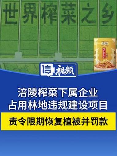 涪陵榨菜集团下属企业擅自占用林地违规建设项目 被责令限期恢复林地植被并罚款#涪陵榨菜 #处