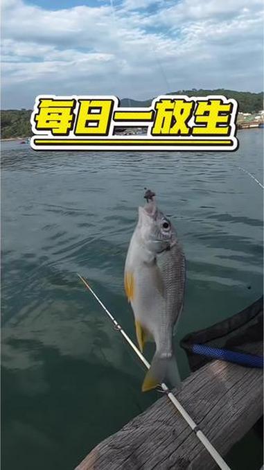 日行一善 #海钓才是抖音最顶流的运动 #海钓技巧 #鱼排筏钓 #原来钓鱼才是运动顶流