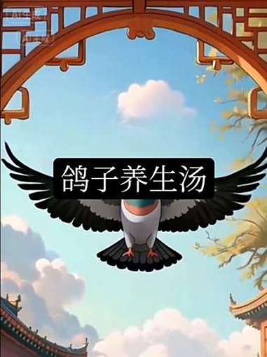 鸽子摇到汤锅里了,成了一锅鸽子养生汤,到底有多厉害你知道吗?鸽子汤 养生汤 传统养生 原创