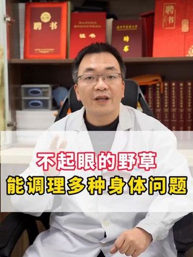 不起眼的野草,能调理多种身体问题 荠菜 中医 中药材