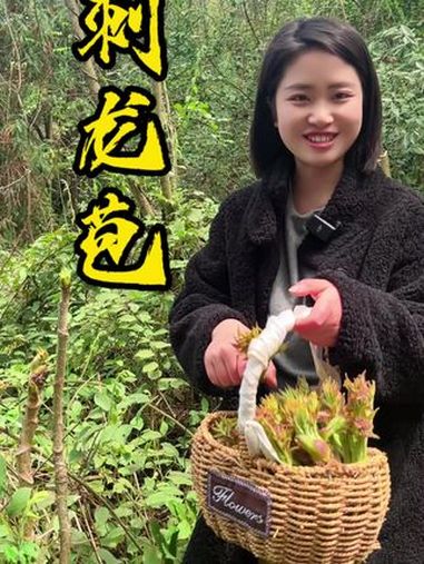 今天带你们进老山林找一种带刺的芽,大家都称它为“树上人参”。这种野菜你们吃过吗?春季必吃的