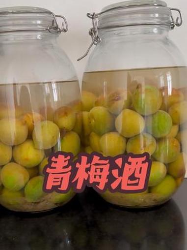 青梅酒 #青梅酒