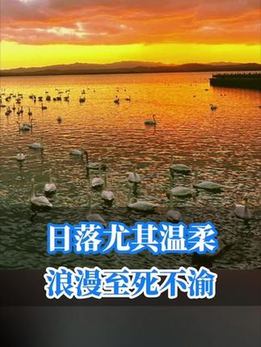 青岛游客来看落日余晖下的天鹅湖:人间皆是浪漫
