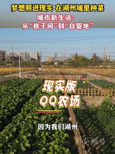 梦想照进现实 在湖州城里种菜!城郊新生活:从“格子间”到“自留地”!校园新实践:课本里的春