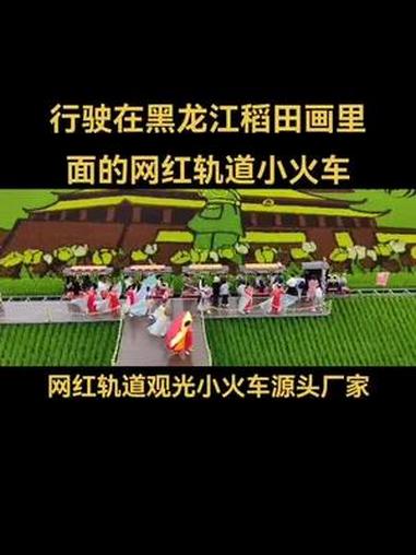 有见过行驶在黑龙江稻田画里面的网红轨道观光小火车吗 稻田小火车 网红小火车 蒸汽小火车 轨