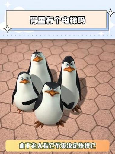 这肚子里有个电梯吗 马达加斯加企鹅第一季 马达加斯加的企鹅 鹅滴神片