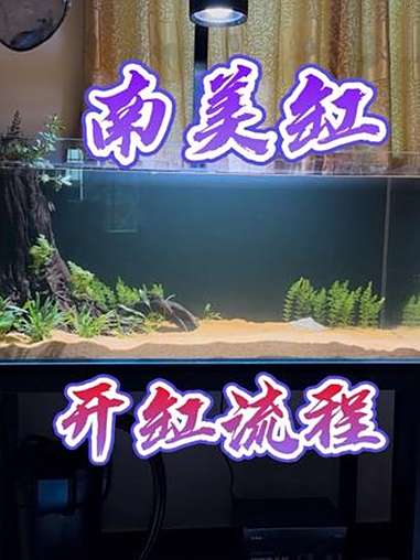 1米南美缸开缸教程,流程全程记录!南美缸 南美缸开缸 南美缸造景