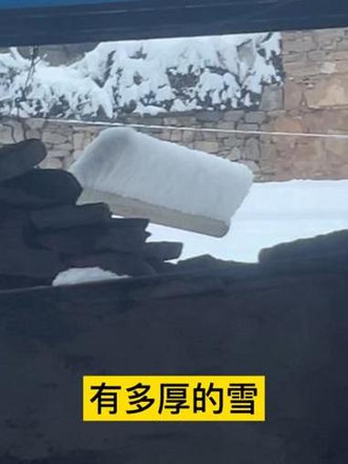 今天这个视频就专门测一下昨天的雪有多厚……#日常唠嗑 #雪的厚度 #苗苗姐