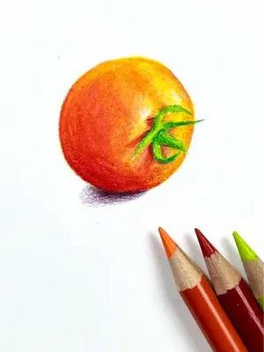 简单易学的西红柿画法,你学会了吗?画画 彩铅 零基础教学 手绘 夏日入画挑战