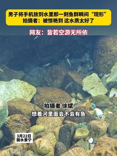 男子将手机放到水里那一刻鱼群瞬间“现形” 拍摄者:被惊艳到 这水质太好了 网友:皆若空游无