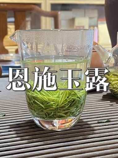 2025年的新茶开始喽 恩施玉露 绿茶 蒸青绿茶