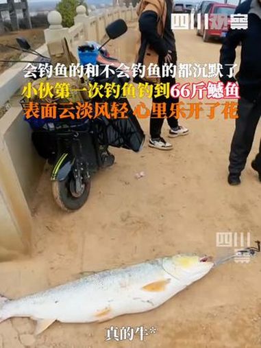 3月9日,江西南昌。小伙第一次钓鱼首竿钓起66斤大鱼 一开始表面淡定到后面笑得抬不起头,真