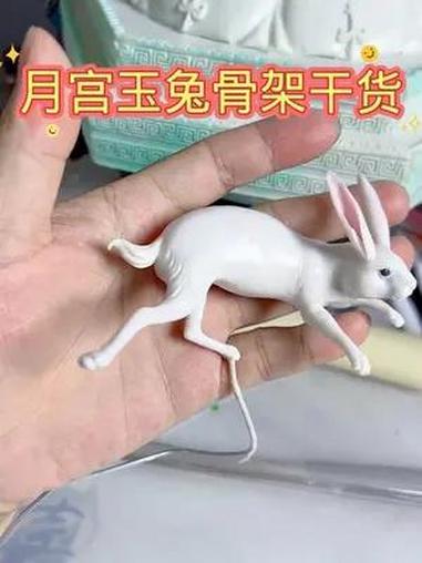 嫦娥欲透干货 面塑 食品雕刻 花馍