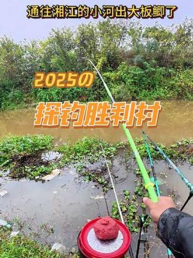 找个钓鱼达子一起 湘江可钓区小河叉又出大板鲫了 钓鱼人的快乐 三老头浮漂 钓鱼王地狱猫 钓