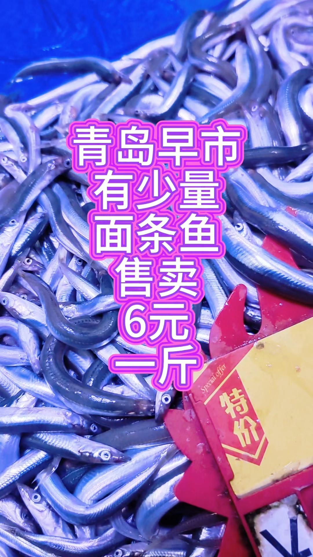 青岛早市，有少量的面条鱼售卖，价格不贵，6元一斤