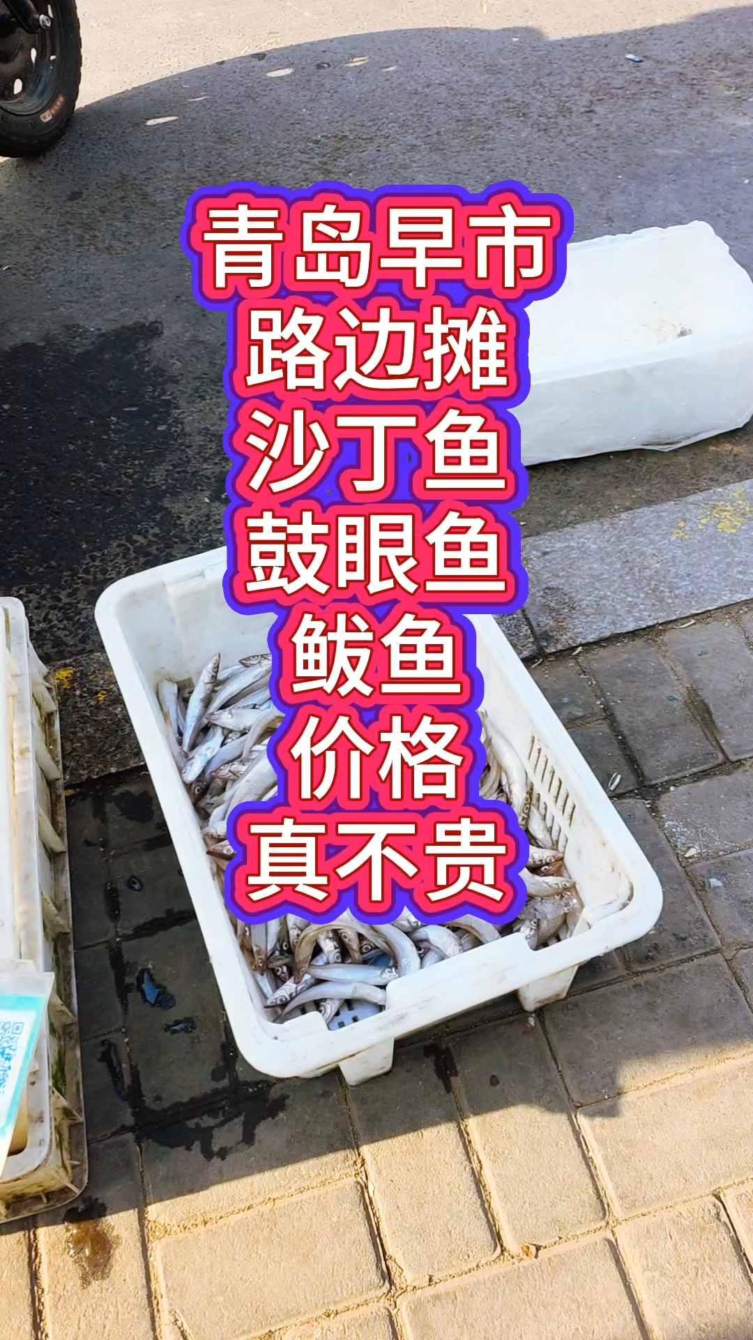 青岛早市，路边海鲜摊位，沙丁鱼、鼓眼鱼、鲅鱼价格真不贵